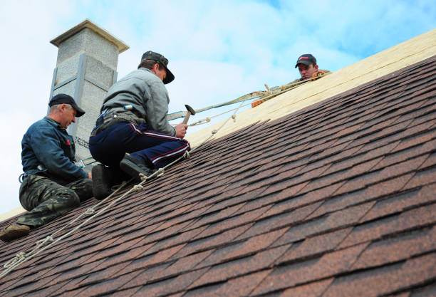Roof Gutter Cleaning in Aspen, CO